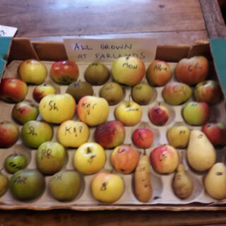 Public Speaker in Derbyshire James Ellson presents his talk I Ate My Last Herefordshire Russet This Morning – An Introduction to Growing Apple Trees