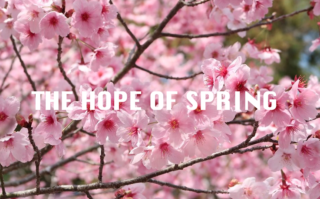 Public Speaker in Surrey Louise Camby talks about the Hope of Spring