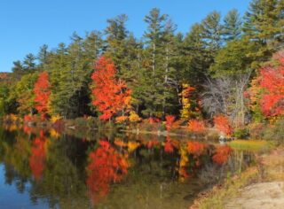 Public Speaker in Surrey Major Paul Whittle talks about New England in the Fall